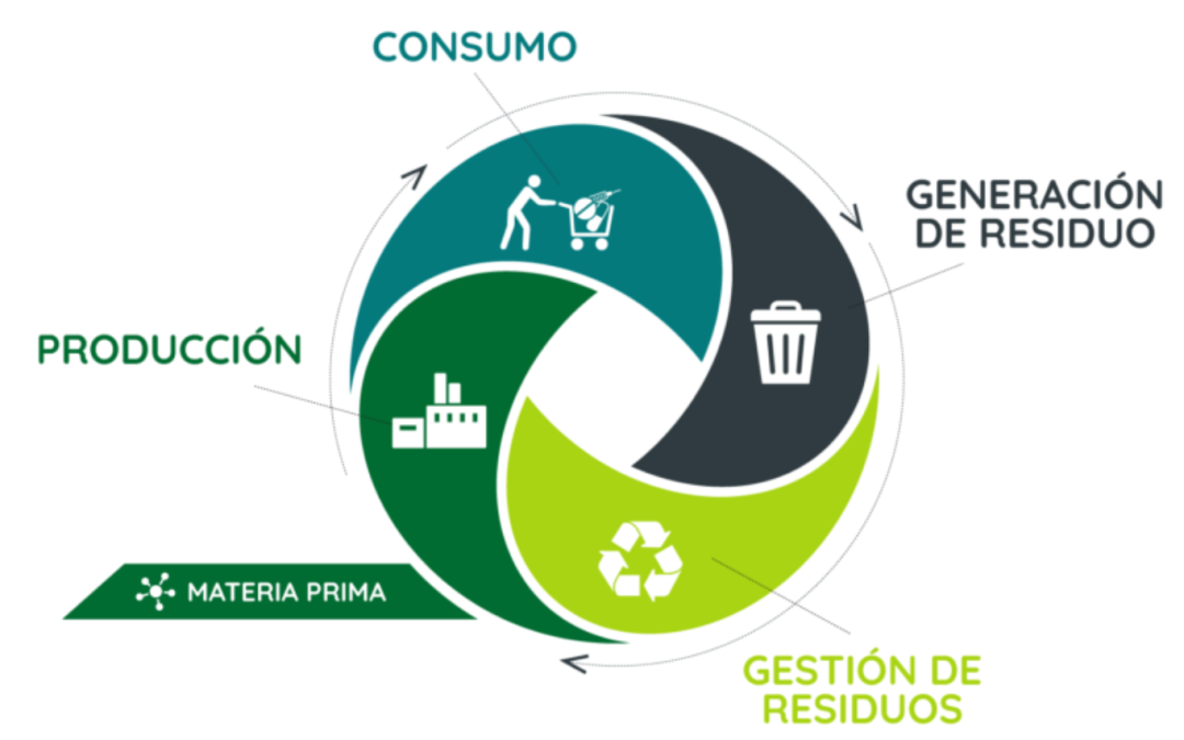 Ciclos productivos Construye Valores